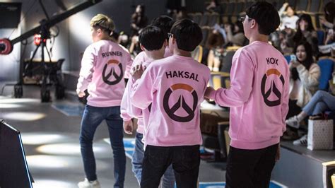 flowervin overwatch|Korean Overwatch team Runaway's Flowervin .